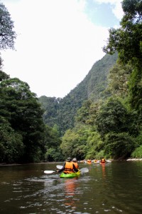 Kayaking through forest of Borneo
